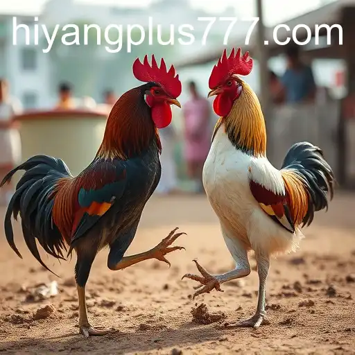 Cockfighting: A Cultural Phenomenon and Its Intersection with Hiyang Plus