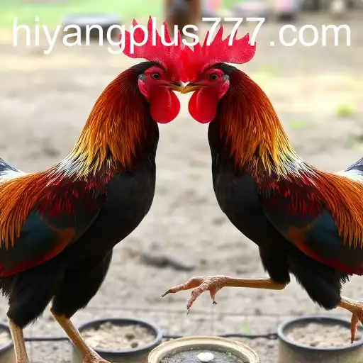 Online Sabong: The Digital Evolution and the Role of Hiyang Plus